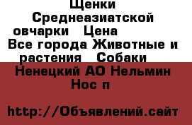 Щенки Среднеазиатской овчарки › Цена ­ 30 000 - Все города Животные и растения » Собаки   . Ненецкий АО,Нельмин Нос п.